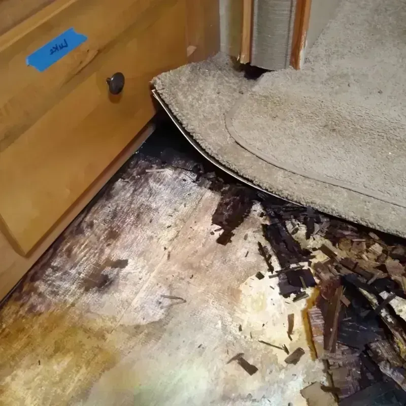 Best Wood Floor Water Damage Service in Dunnellon, FL